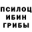 Галлюциногенные грибы мицелий Ann Medvedeva