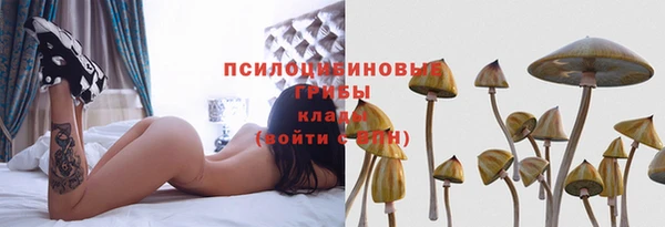гашик Володарск