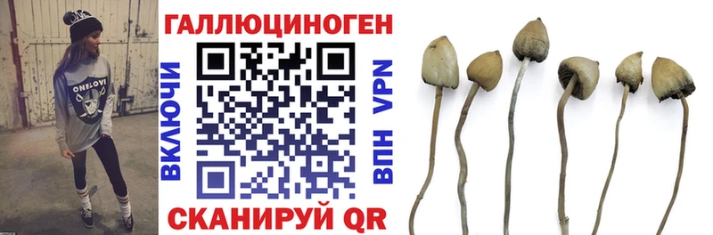 MEGA ссылки Ряжск Галлюциногенные грибы прущие грибы